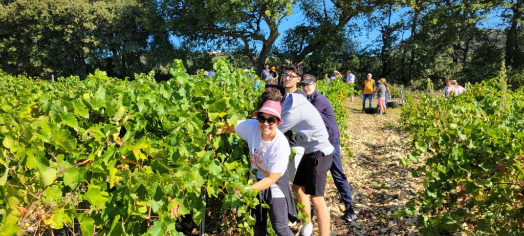 élèves vendangeurs section allemand
